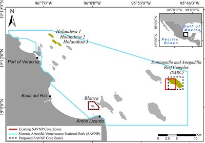 Characterizing Geomorphology of Mesophotic Coral Reef Ecosystems in the Southwestern Gulf of Mexico: Implications for Conservation and Management